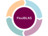 FlexiBLAS Logo